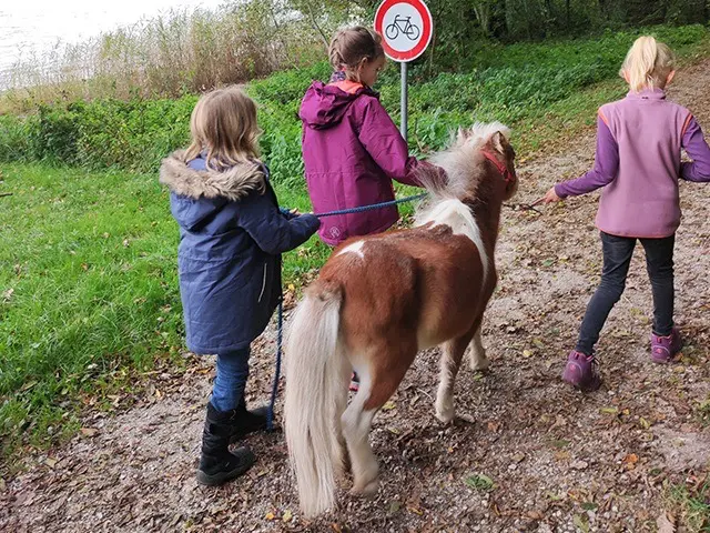 Familien-Freizeit