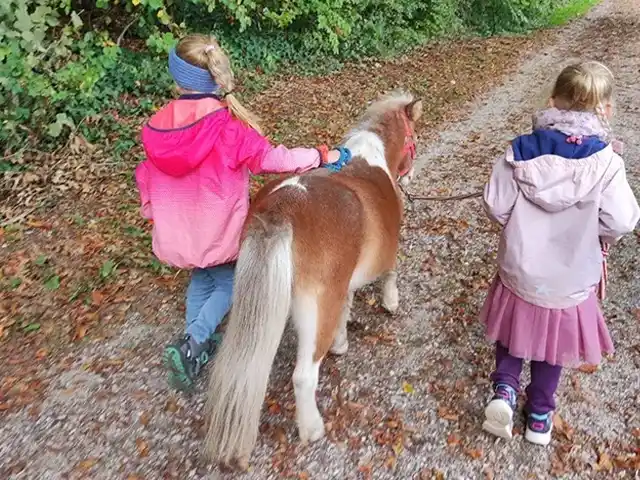 Geschwister-Kinder