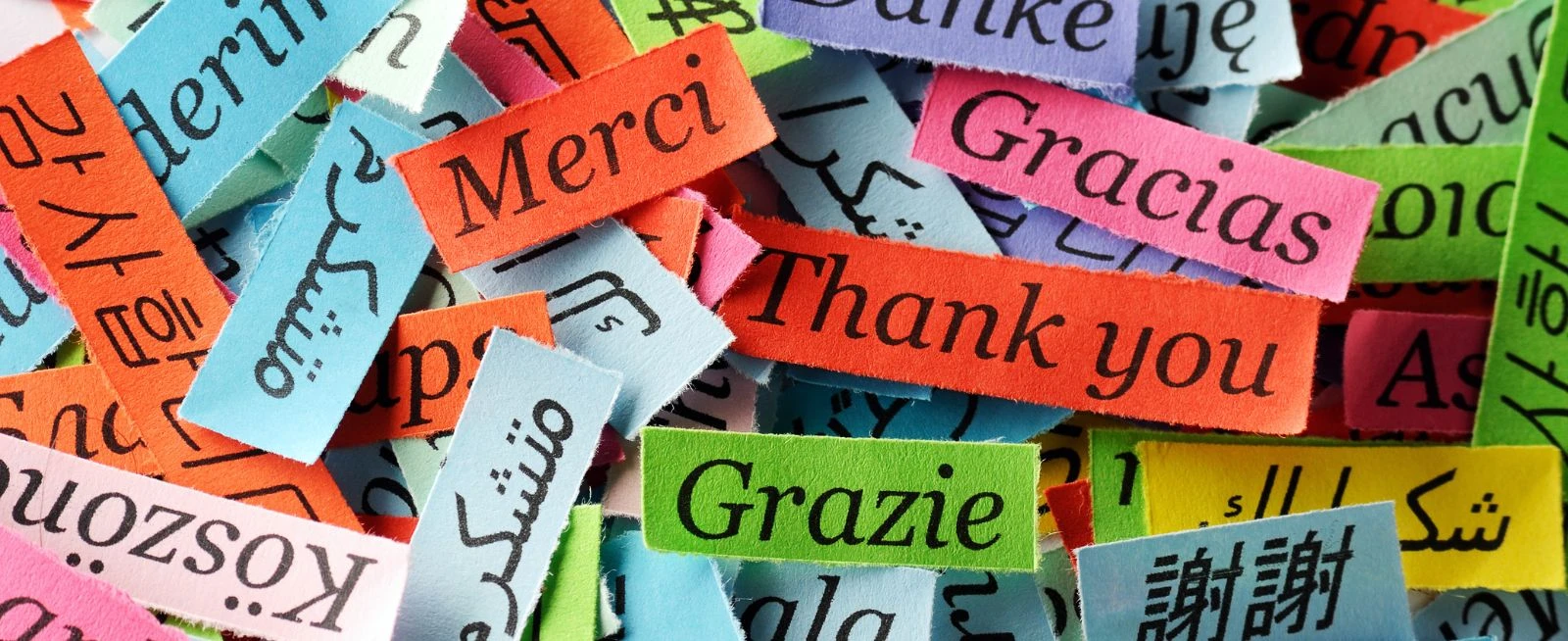 header_spende Geschwister Kinder