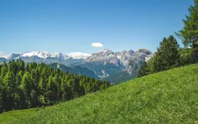 Handy aus, Geschwister an – Geschwisterbegegnung im Allgäu